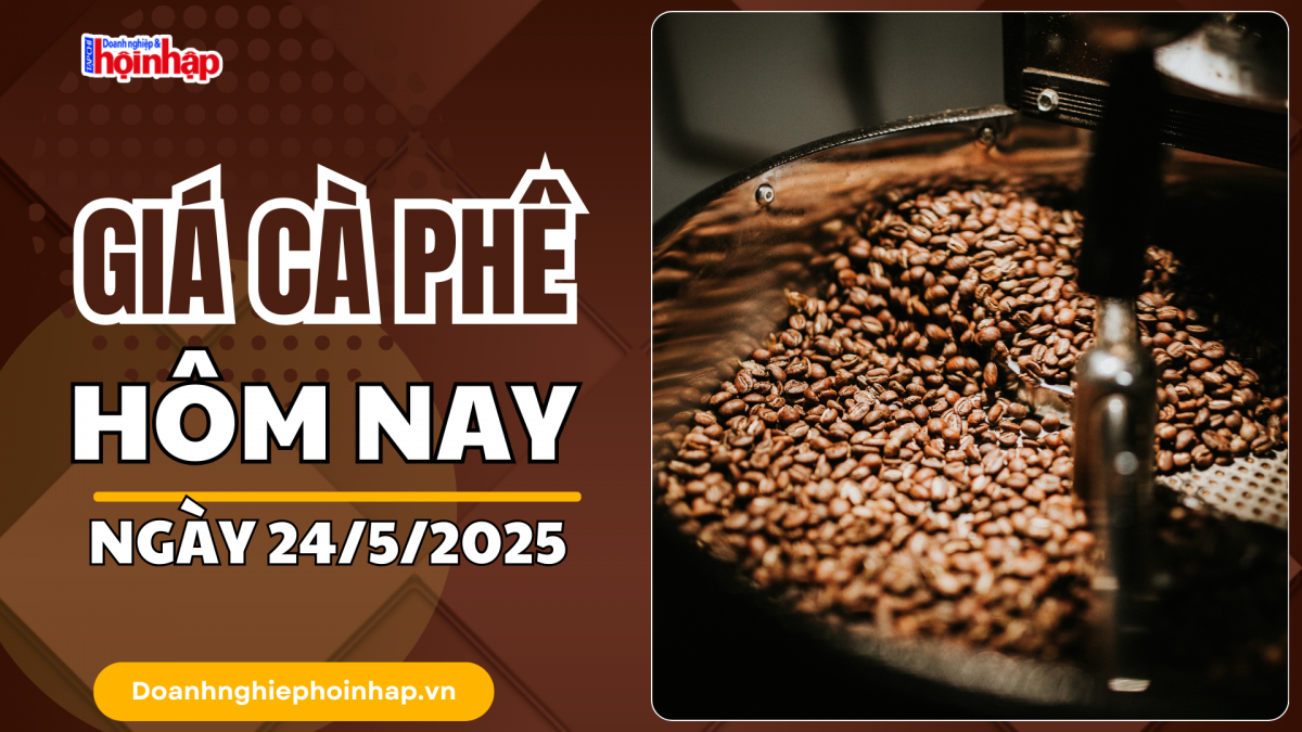 Giá cà phê hôm nay 24/5: Giá cà phê trong nước giảm sâu 2.500 - 3.300 đồng/kg