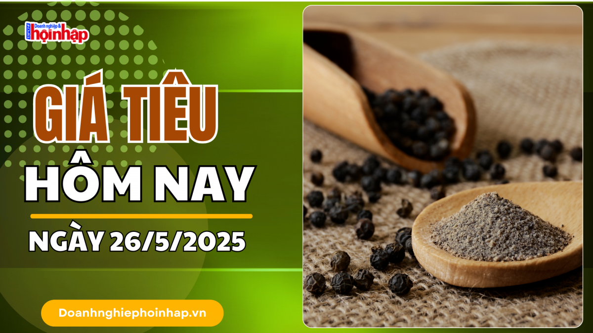 Giá tiêu hôm nay 26/6: Thị trường tiêu trong nước ổn định ở mức cao