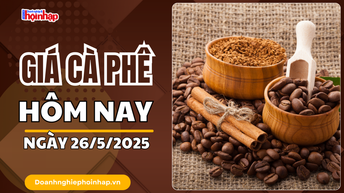 Giá cà phê hôm nay 26/5/2025: Giá cà phê cao nhất ở mức 122.500 đồng/kg