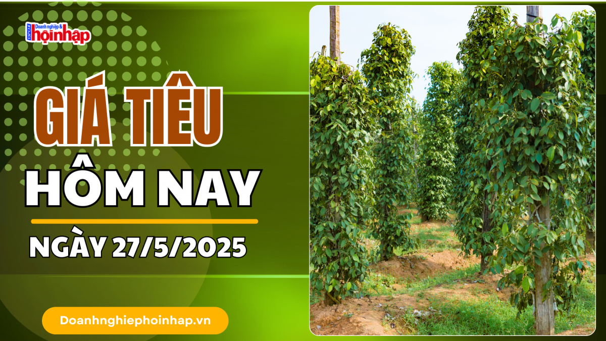 Giá tiêu hôm nay 27/5: Tiêu trong nước cao nhất ở mức 147.000 đồng/kg