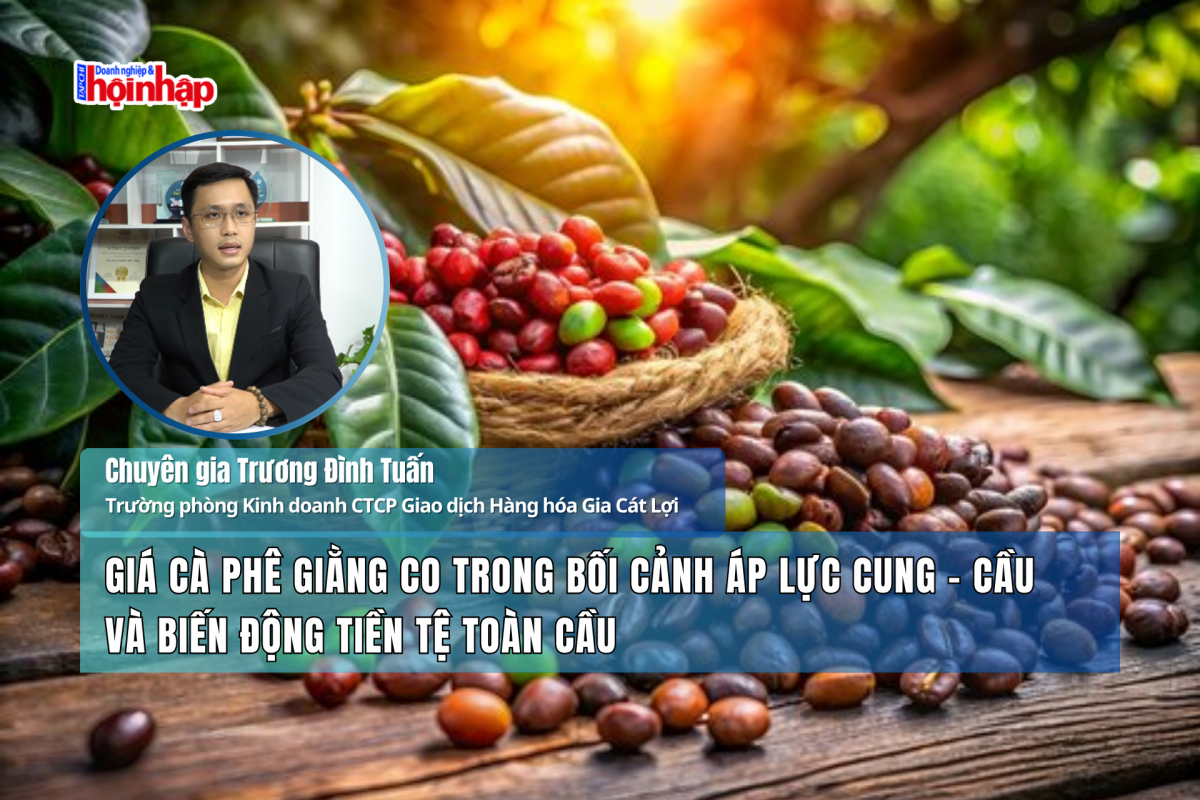 Giá cà phê giằng co trong bối cảnh áp lực cung – cầu và biến động tiền tệ toàn cầu