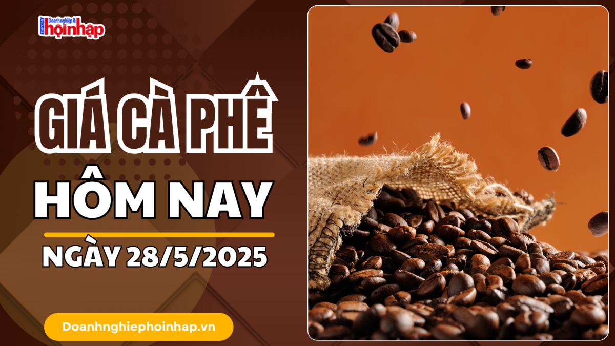 Giá cà phê hôm nay 28/5: Giá cà phê trong nước tăng 1.200 - 1.400 đồng/kg