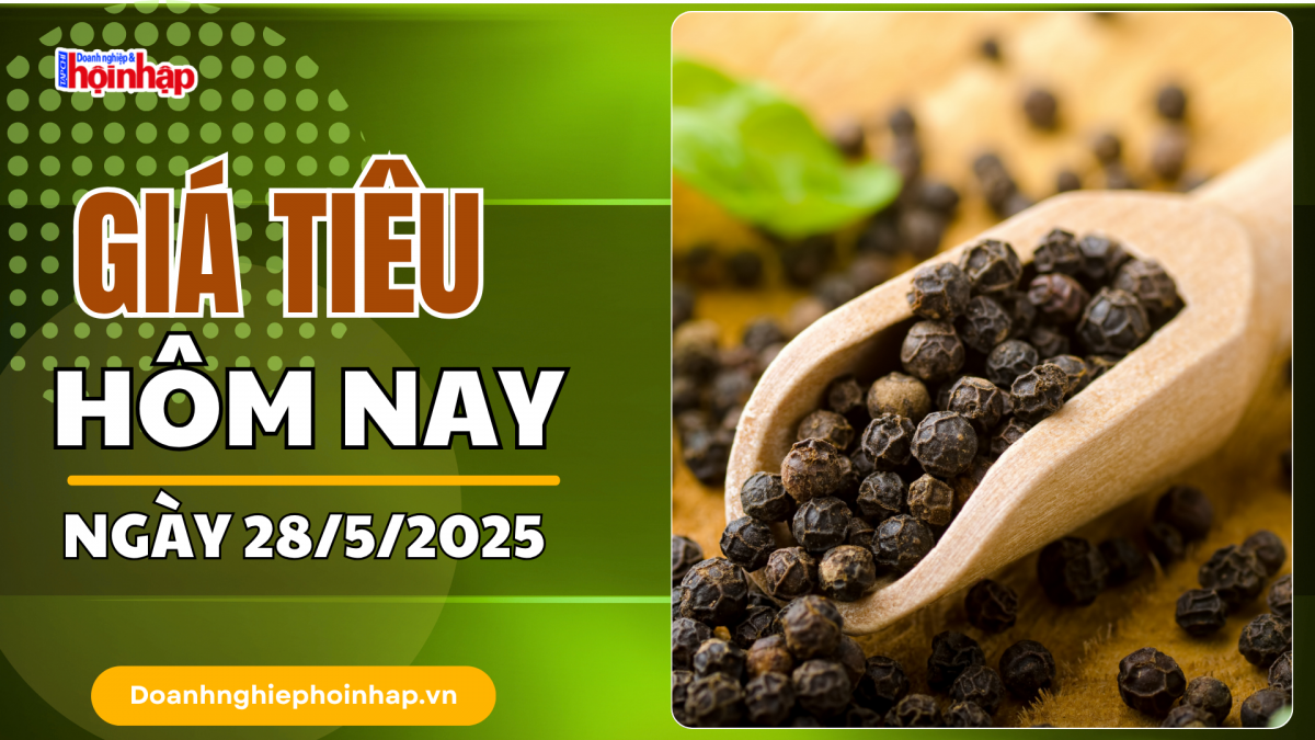 Giá tiêu hôm nay 28/5: Tiêu trong nước tăng 1.000 - 1.500 đồng/kg