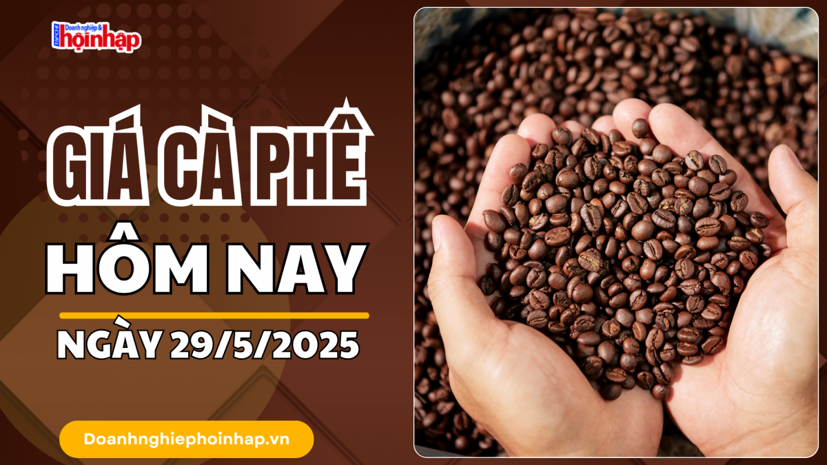 Giá cà phê hôm nay 29/5: Giá cà phê trong nước giảm 1.500 - 1.600 đồng/kg