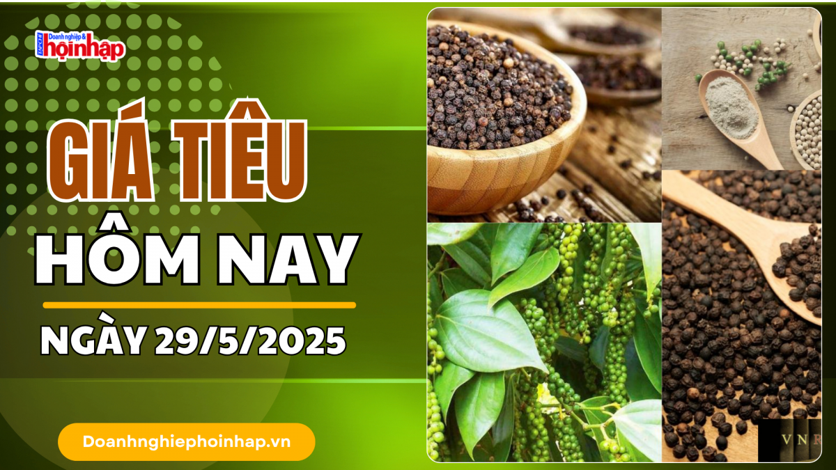 Giá tiêu hôm nay 29/5: Tiêu trong nước ổn định, thế giới tăng - giảm trái chiều