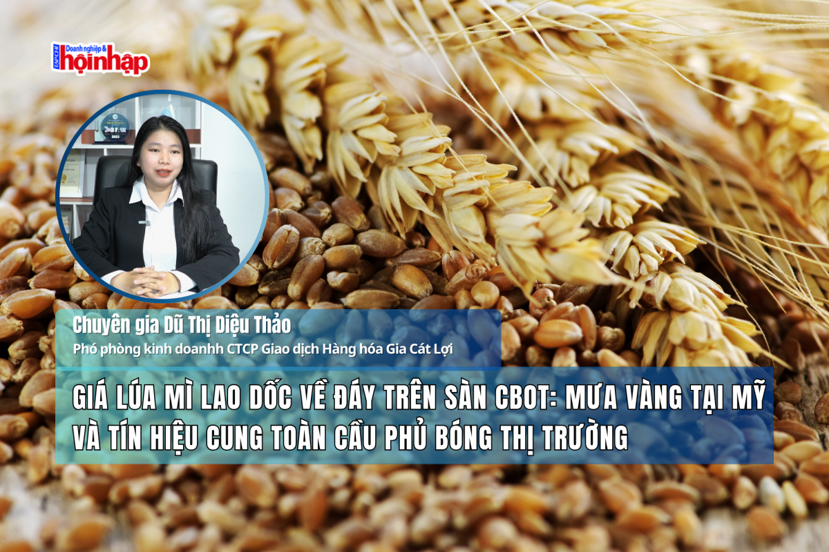 Giá lúa mì lao dốc về đáy trên sàn CBOT: Mưa vàng tại Mỹ và tín hiệu cung toàn cầu phủ bóng thị trường