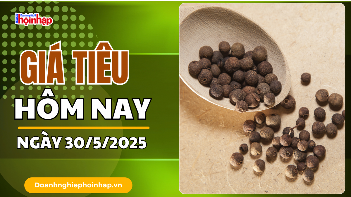 Giá tiêu hôm nay 30/5: Tiêu trong nước giảm 1.000 - 2.000 đồng/kg