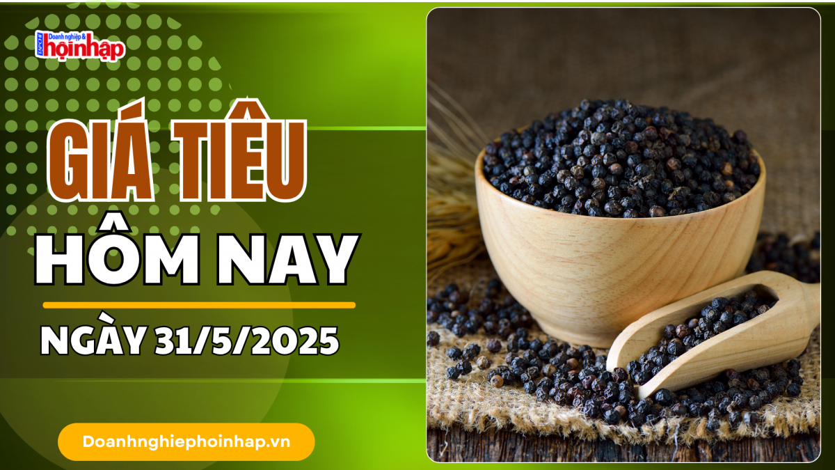 Giá tiêu hôm nay 31/5: Tiêu trong nước giảm 500 - 1.000 đồng/kg