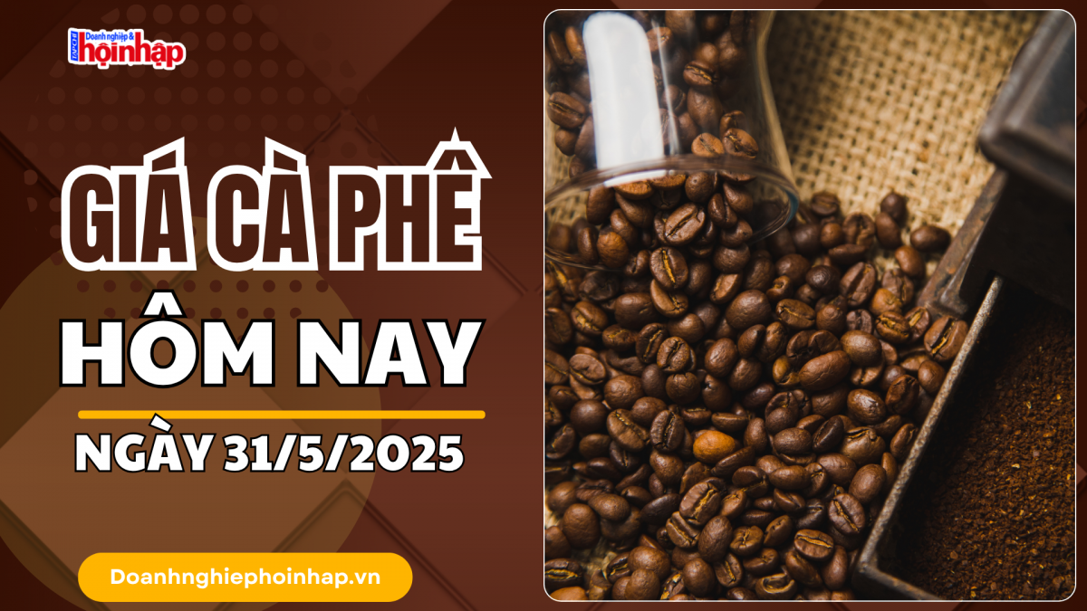 Giá cà phê hôm nay 31/5: Cà phê trong nước đồng loạt giảm 1.500 đồng/kg