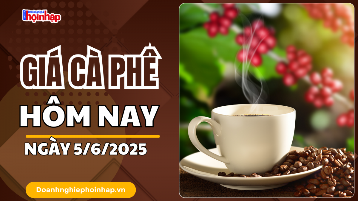Giá cà phê hôm nay 5/6: Cà phê trong nước giảm mạnh nhất 2.600 đồng/kg