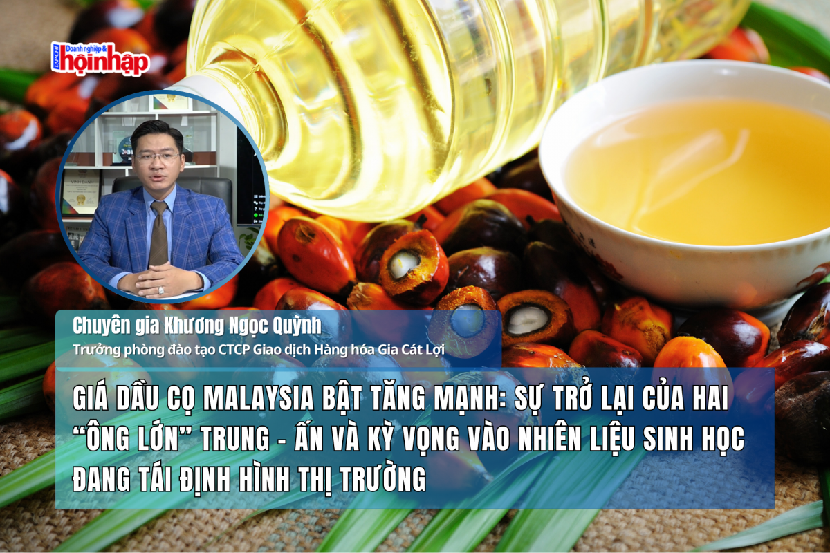 Giá dầu cọ Malaysia bật tăng mạnh: Sự trở lại của hai “ông lớn” Trung - Ấn và kỳ vọng vào nhiên liệu sinh học đang tái định hình thị trường