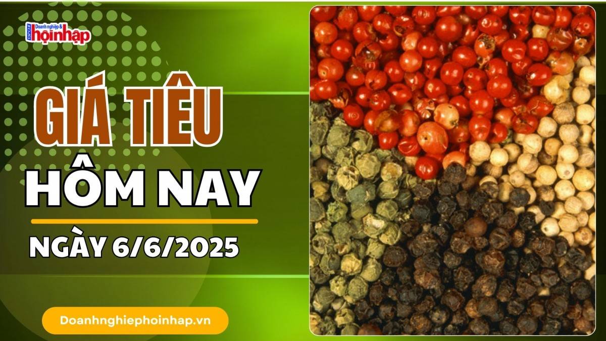Giá tiêu hôm nay 6/6: Giá hồ tiêu trong nước giảm mạnh nhất 2.000 đồng/kg