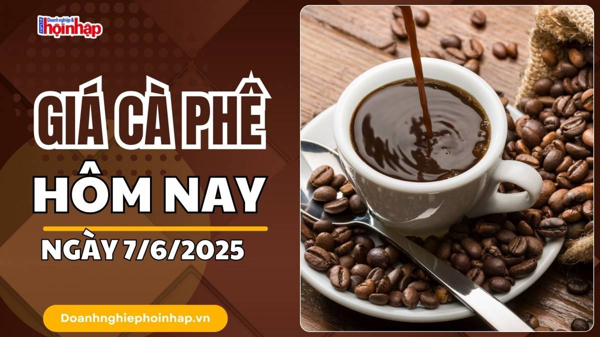 Giá cà phê hôm nay 7/6: Giá cà phê trong nước tăng 1.400 - 1.800 đồng/kg