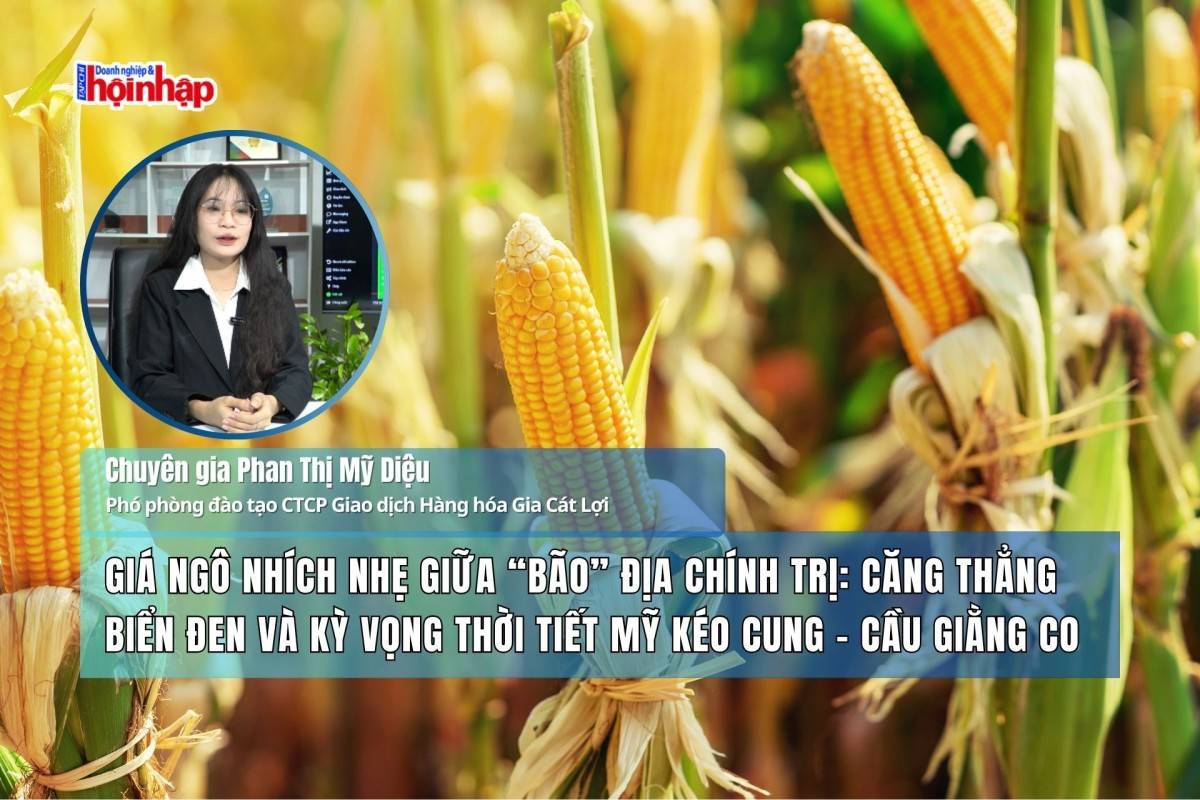 Giá ngô nhích nhẹ giữa “bão” địa chính trị: Căng thẳng Biển Đen và kỳ vọng thời tiết Mỹ kéo cung - cầu giằng co