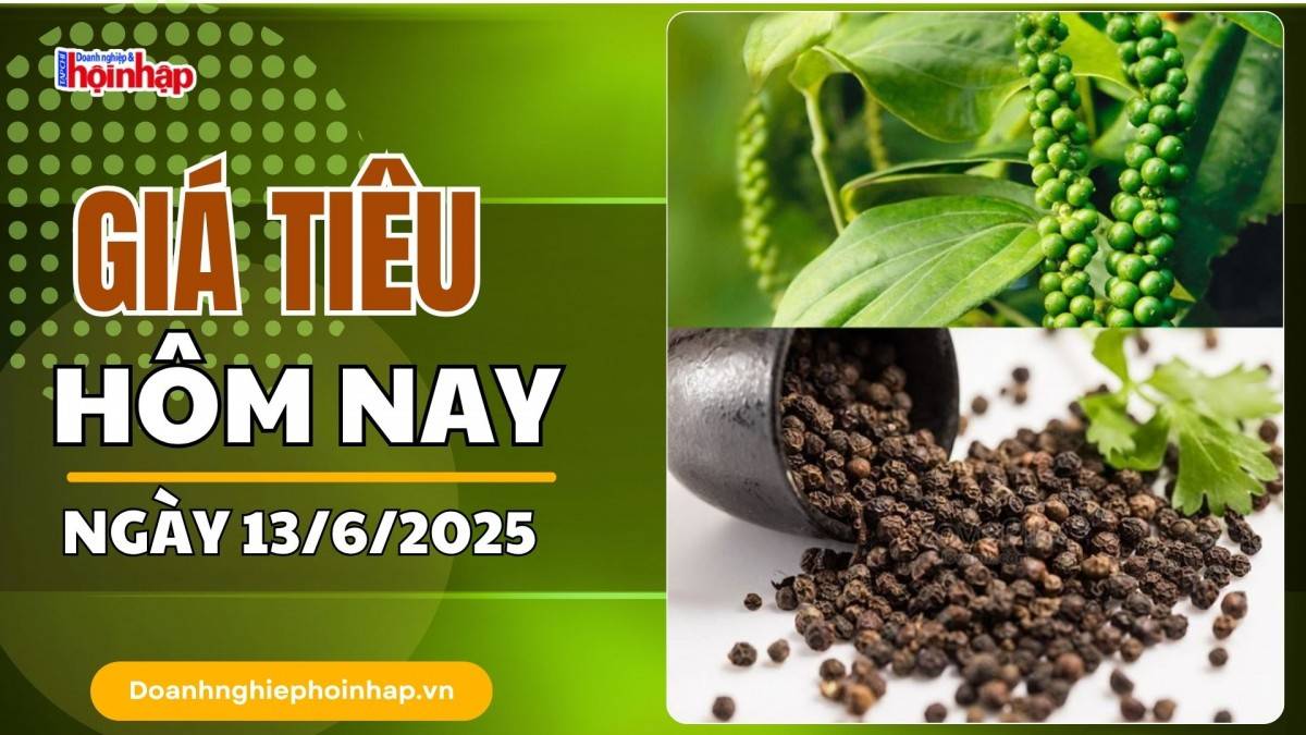 Giá tiêu hôm nay 13/6: Tiêu trong nước cao nhất là 140.000 đồng/kg