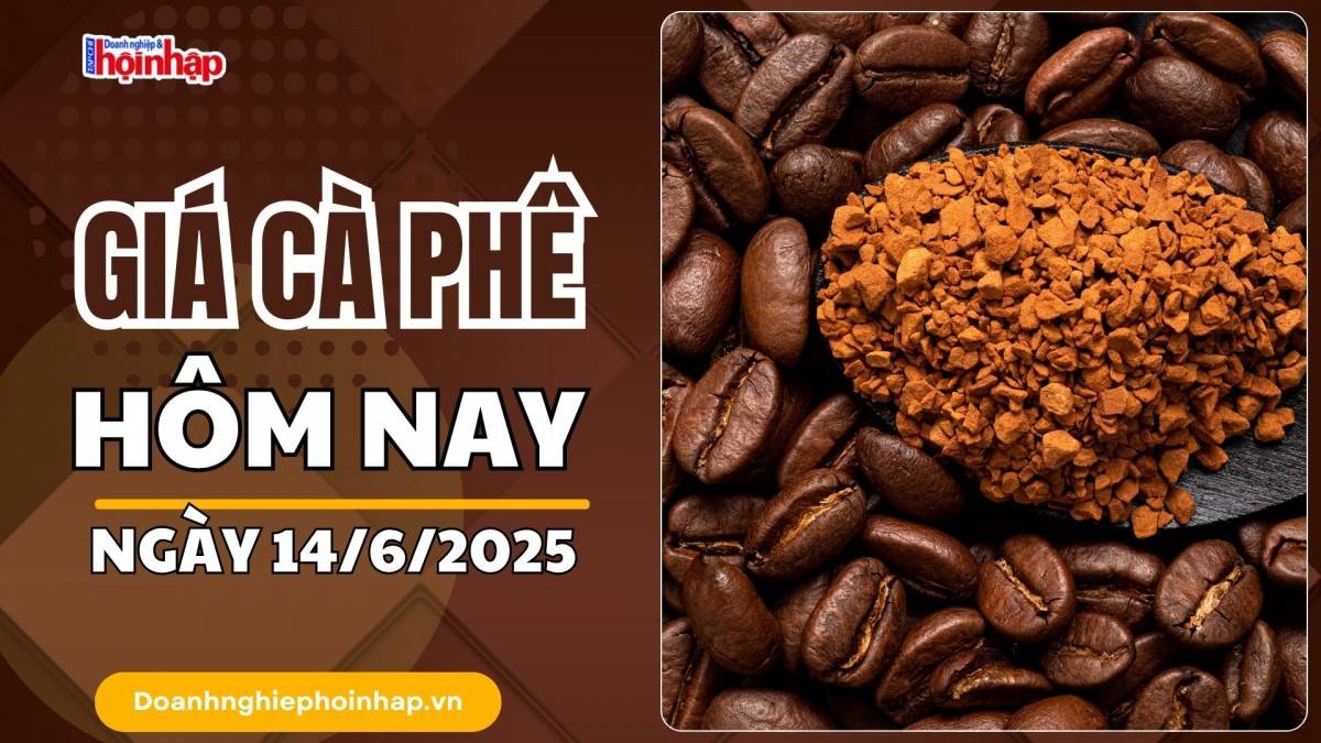 Giá cà phê hôm nay 14/6: Giá cà phê trong nước tăng 800 - 1.000 đồng/kg