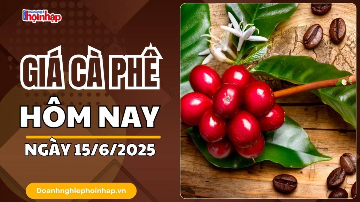 Giá cà phê hôm nay 15/6: Giá cà phê trong nước giảm mạnh nhất 700 đồng/kg