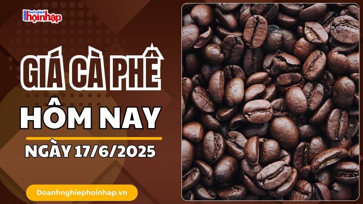 Giá cà phê hôm nay 17/6: Giá cà phê trong nước giảm 200 - 300 đồng/kg
