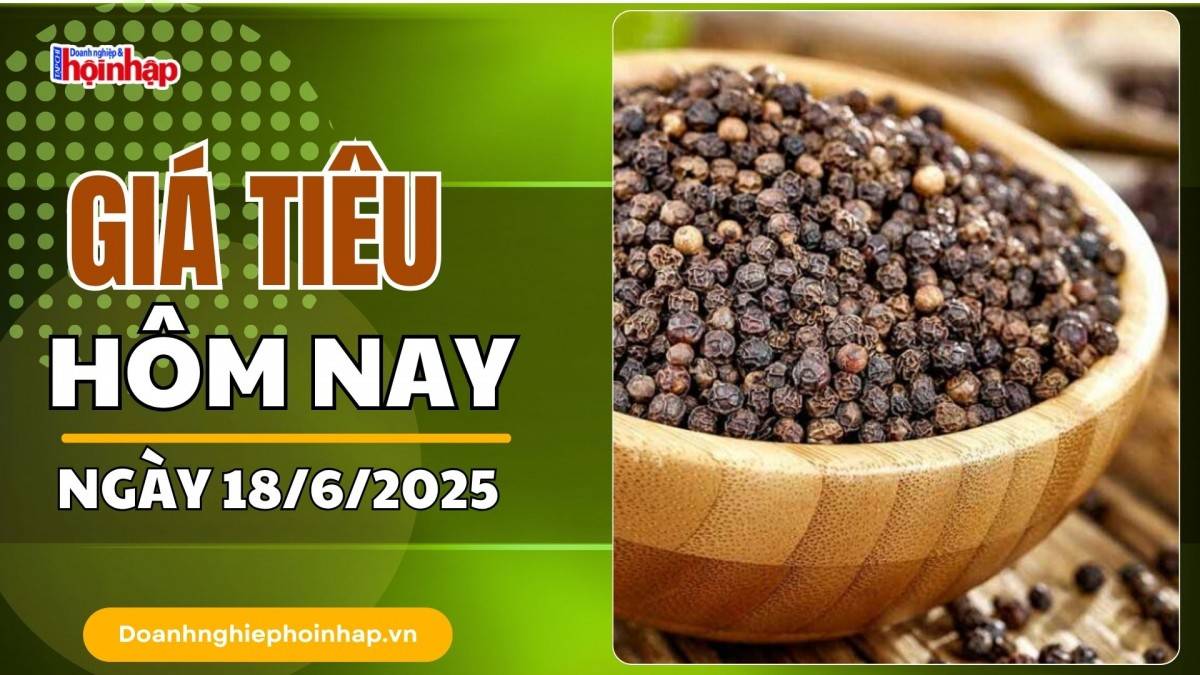 Giá tiêu hôm nay 18/6: Tiêu trong nước giảm mạnh nhất 2.000 đồng/kg