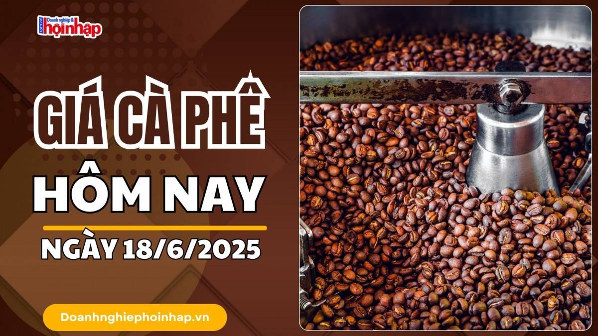 Giá cà phê hôm nay 18/6: Giá cà phê trong nước giảm mạnh nhất 1.600 đồng/kg