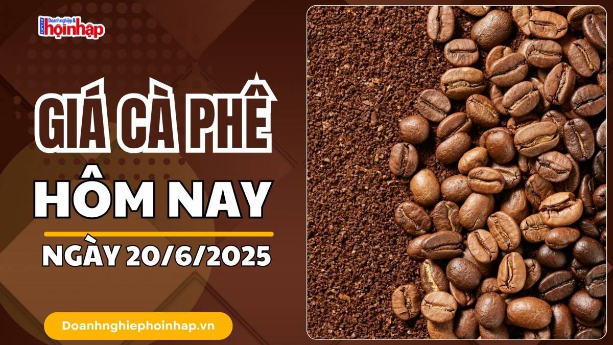 Giá cà phê hôm nay 20/6: Giá cà phê trong nước giảm mạnh nhất 6.200 đồng/kg