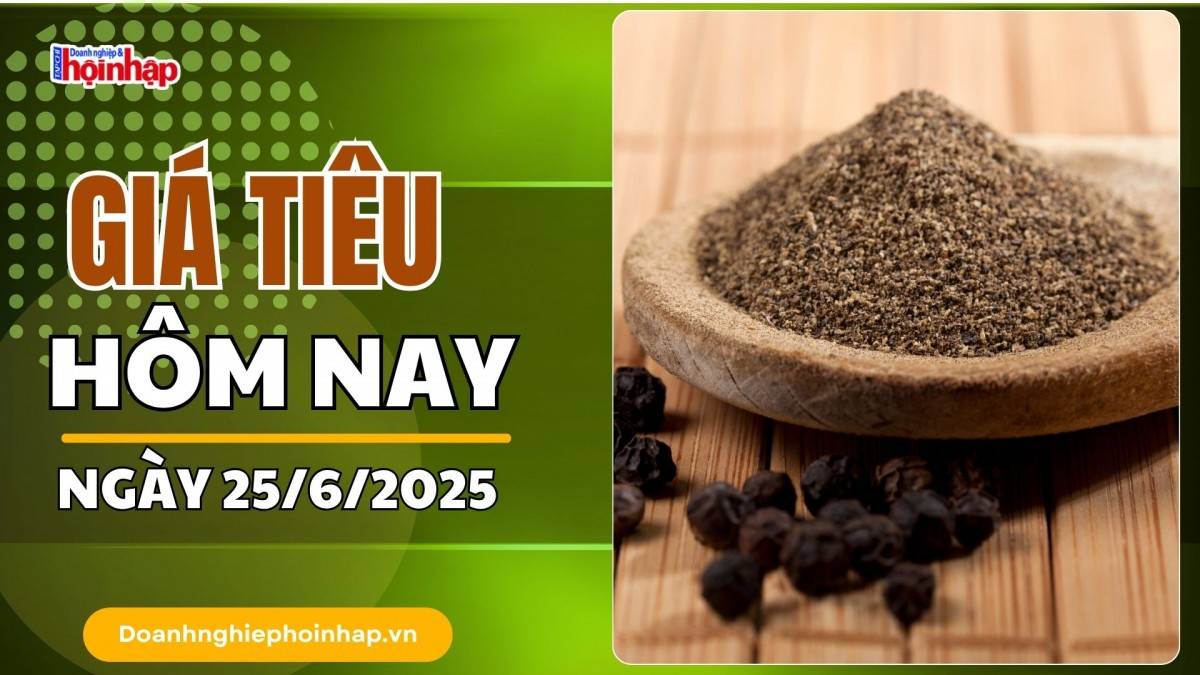 Giá tiêu hôm nay 25/6: Tiêu trong nước "neo" cao ở mức 125.000 đồng/kg
