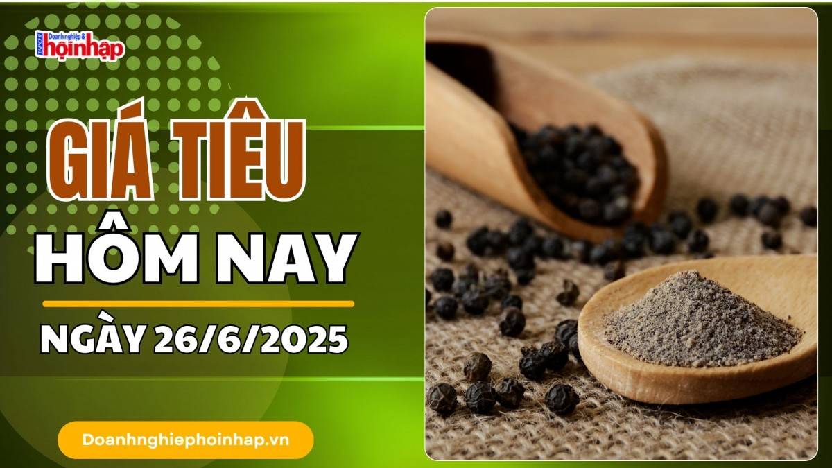 Giá tiêu hôm nay 26/6: Tiêu trong nước tăng cao nhất 2.000 đồng/kg