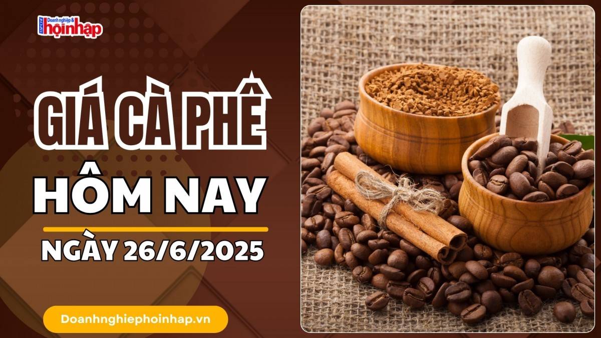 Giá cà phê hôm nay 26/6: Giá cà phê trong nước giảm mạnh nhất 4.500 đồng/kg