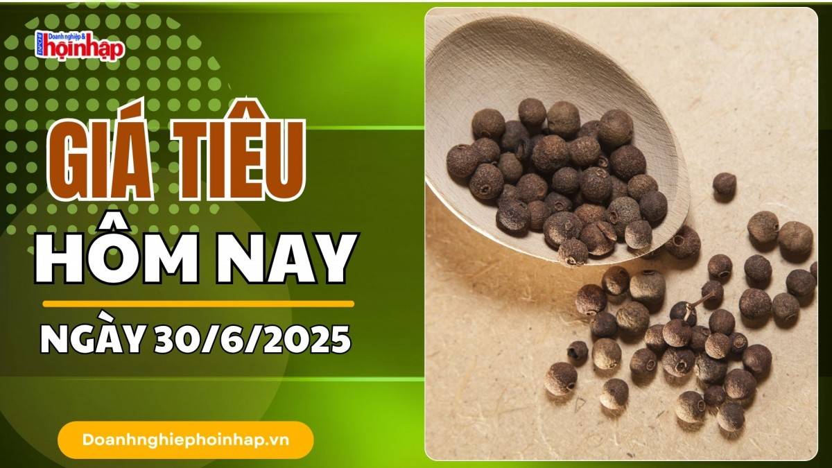 Giá tiêu hôm nay 30/6: Tiêu trong nước cao nhất ở mức 133.000 đồng/kg