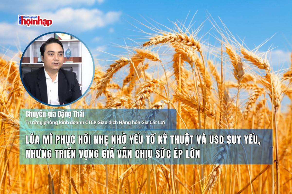 Lúa mì phục hồi nhẹ nhờ yếu tố kỹ thuật và USD suy yếu, nhưng triển vọng giá vẫn chịu sức ép lớn