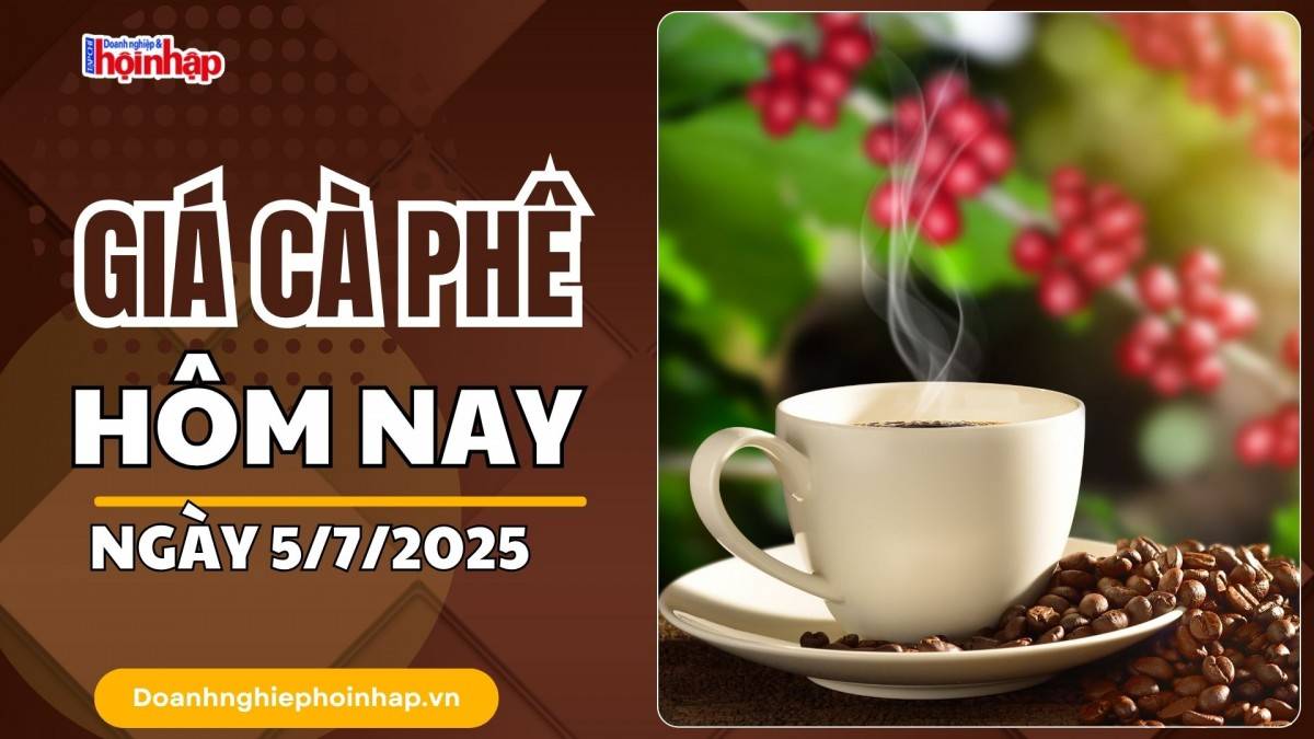 Giá cà phê hôm nay 5/7: Giá cà phê trong nước tăng 300 – 400 đồng/kg