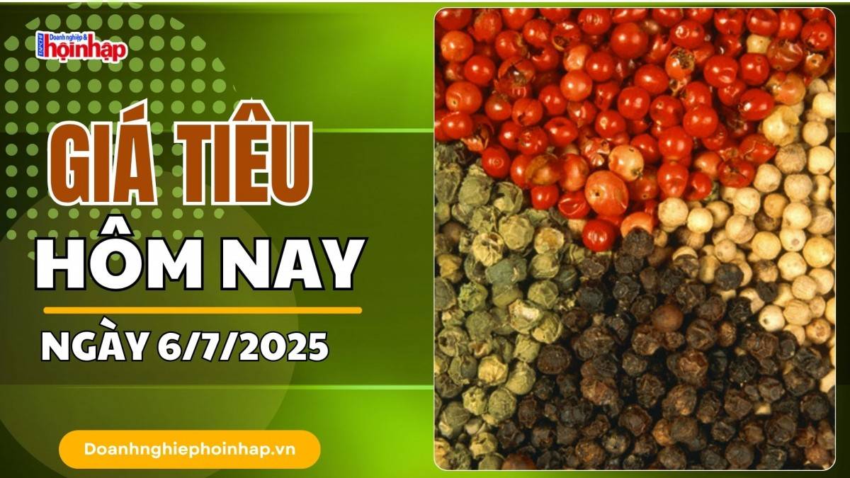 Giá tiêu hôm nay 6/7: Tiêu trong nước cao nhất ở mức 144.000 đồng/kg
