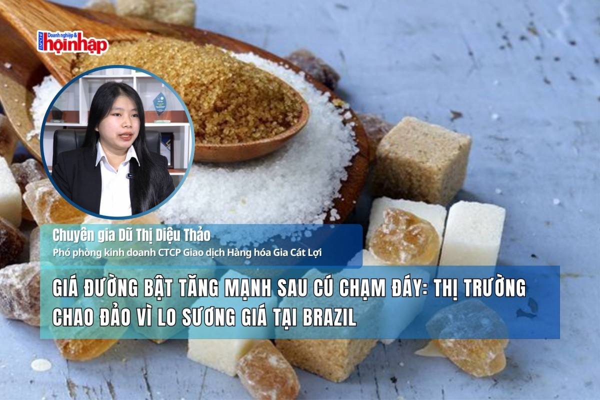 Giá đường bật tăng mạnh sau cú chạm đáy: Thị trường chao đảo vì lo sương giá tại Brazil