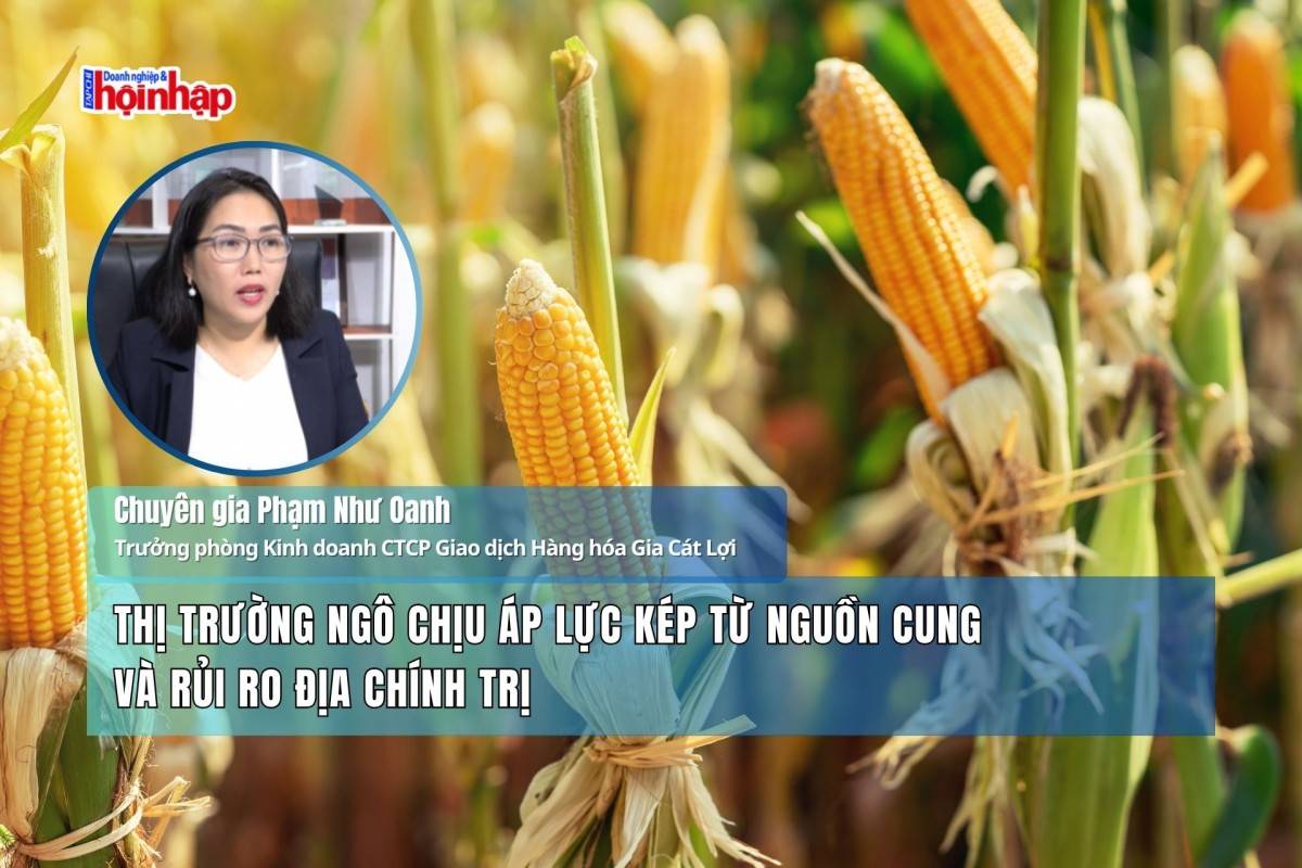 Thị trường ngô chịu áp lực kép từ nguồn cung và rủi ro địa chính trị