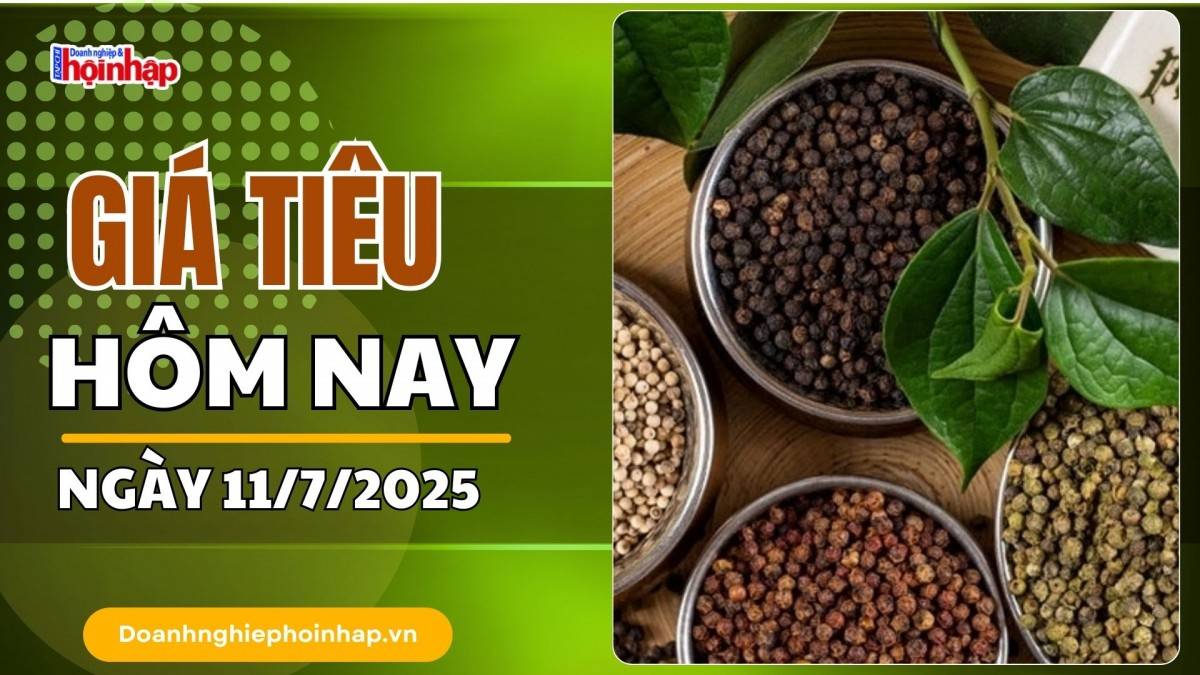 Giá tiêu hôm nay 11/7: Tiêu trong nước giảm mạnh nhất 1.000 đồng/kg