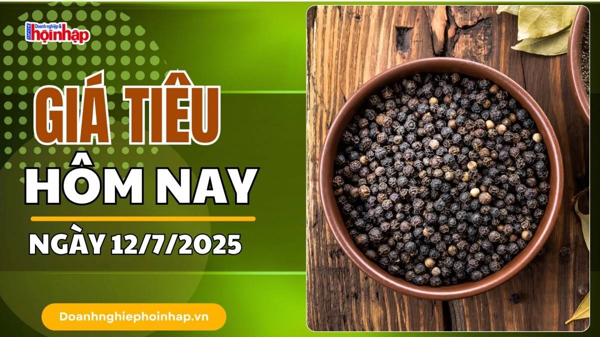 Giá tiêu hôm nay 12/7: Giá tiêu trong nước giảm mạnh 1.000 đồng/kg trên diện rộng