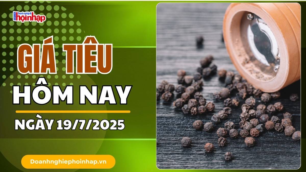 Giá tiêu hôm nay 19/7: Tiêu trong nước giảm mạnh nhất là 1.000 đồng/kg