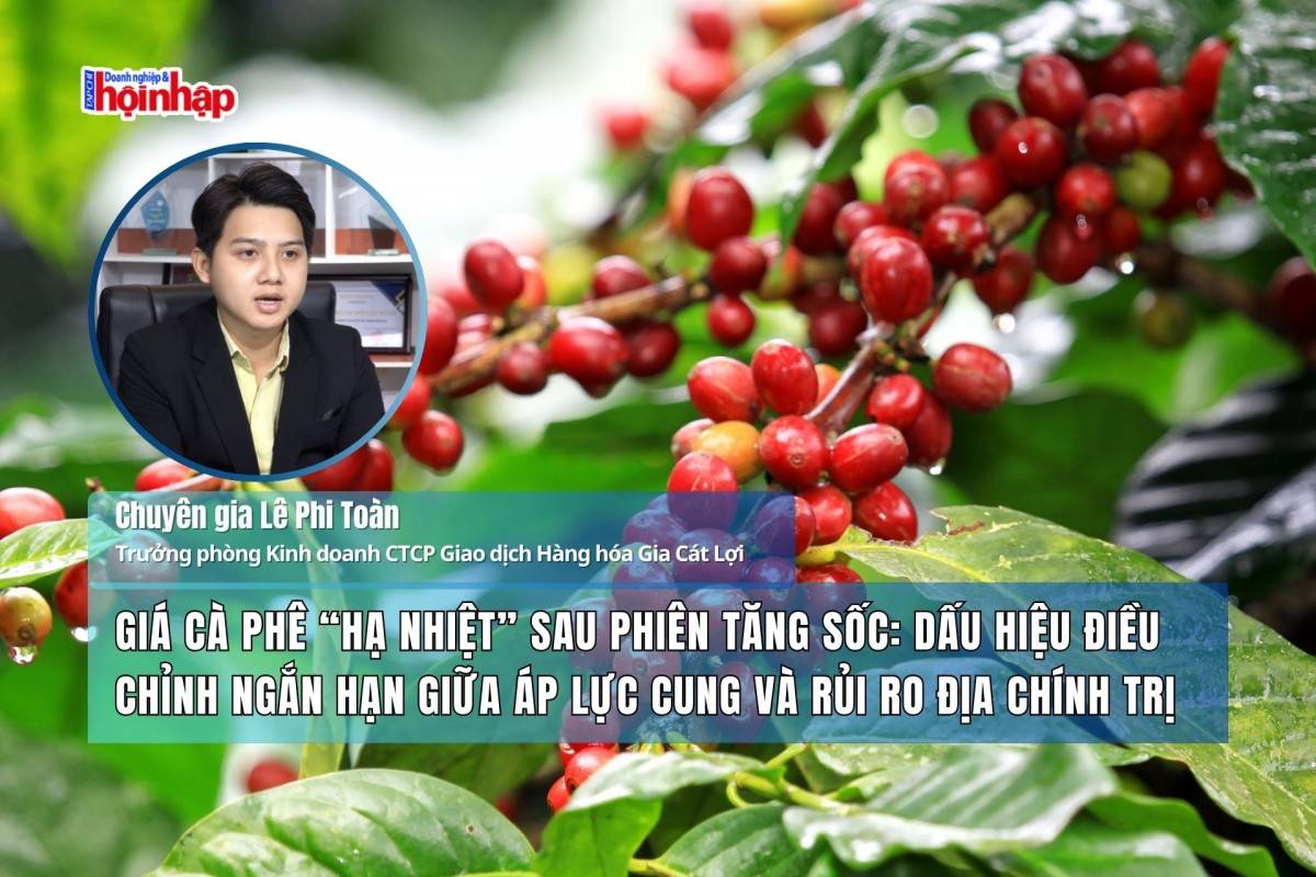 Giá cà phê “hạ nhiệt” sau phiên tăng sốc: Dấu hiệu điều chỉnh ngắn hạn giữa áp lực cung và rủi ro địa chính trị