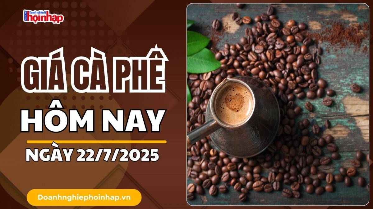 Giá cà phê hôm nay 22/7: Cà phê trong nước neo cao nhất ở mức 94.000 đồng/kg