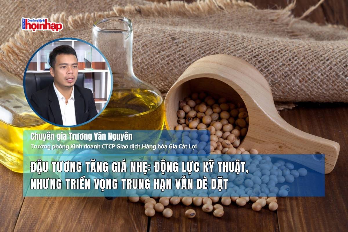 Đậu tương tăng giá nhẹ: Động lực kỹ thuật, nhưng triển vọng trung hạn vẫn dè dặt