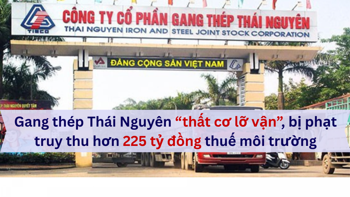 Gang thép Thái Nguyên (Tisco) "thất cơ lỡ vận" vì dự án đội vốn nghìn tỷ, bị phạt truy thu hơn 225 tỷ đồng thuế môi trường