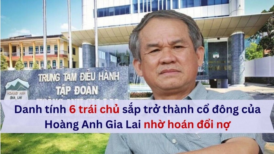 Danh tính 6 trái chủ sắp trở thành cổ đông lớn của Hoàng Anh Gia Lai