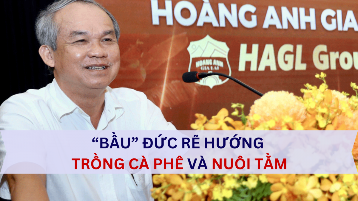 "Bầu" Đức rẽ hướng kinh doanh mới: Trồng cà phê và nuôi tằm