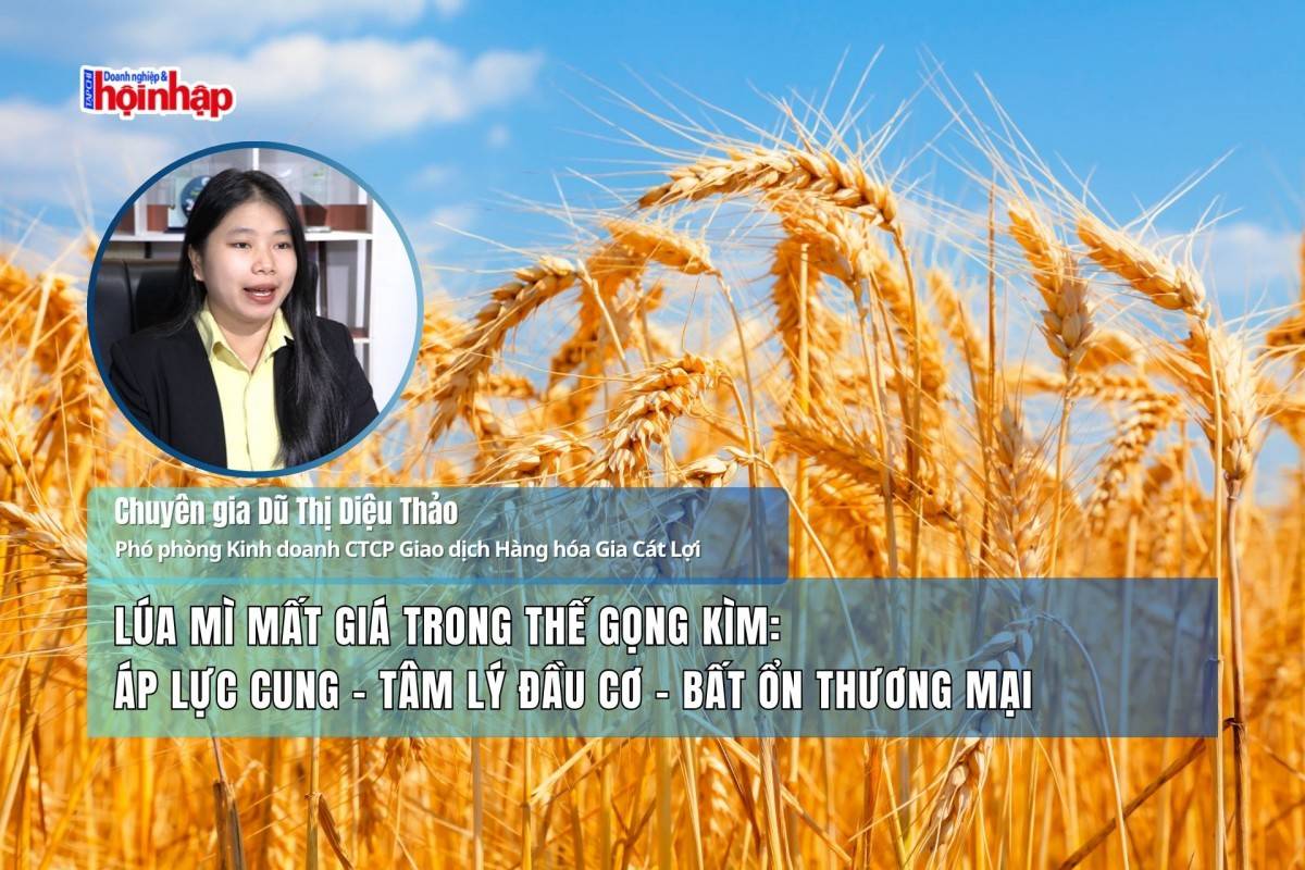 Lúa mì mất giá trong thế gọng kìm: Áp lực cung – tâm lý đầu cơ – bất ổn thương mại