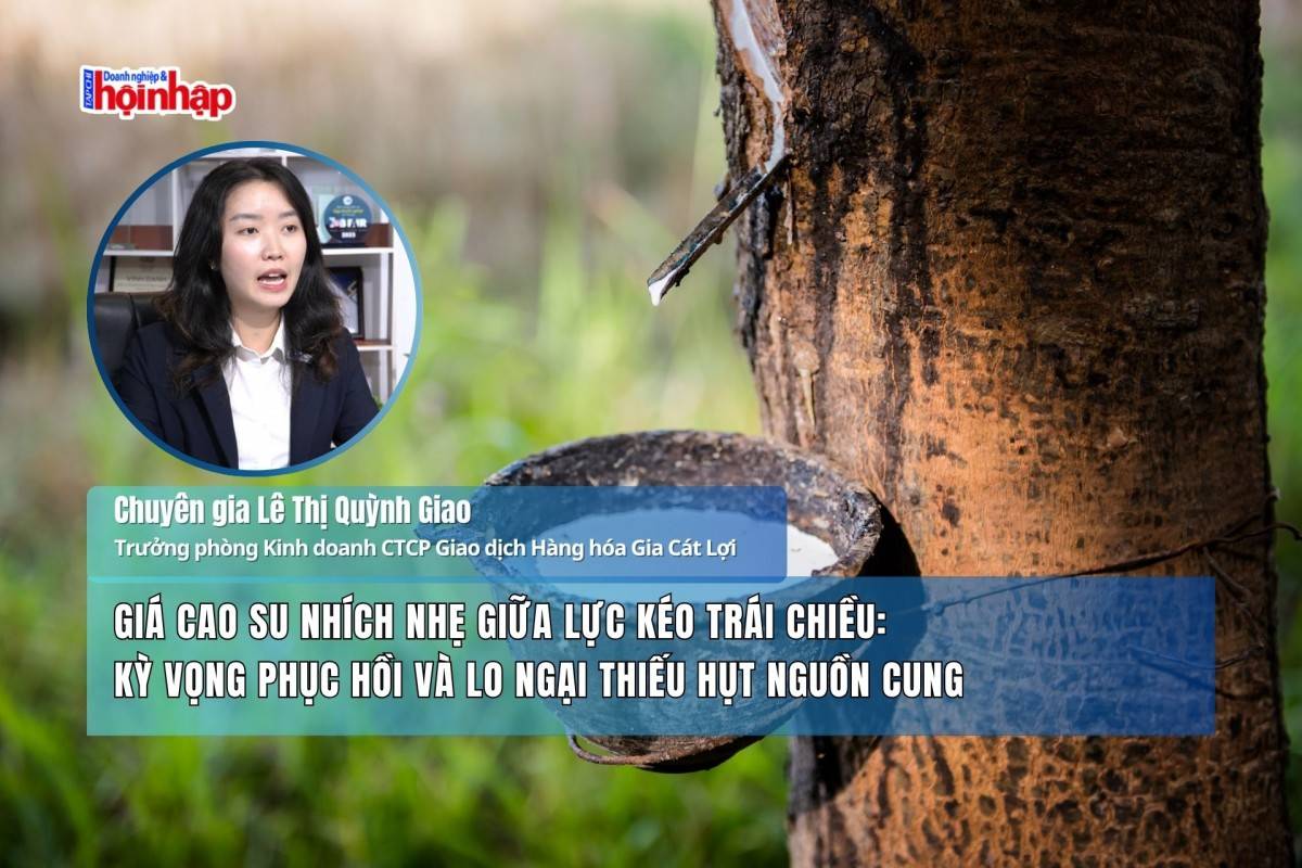 Giá cao su nhích nhẹ giữa lực kéo trái chiều: Kỳ vọng phục hồi và lo ngại thiếu hụt nguồn cung