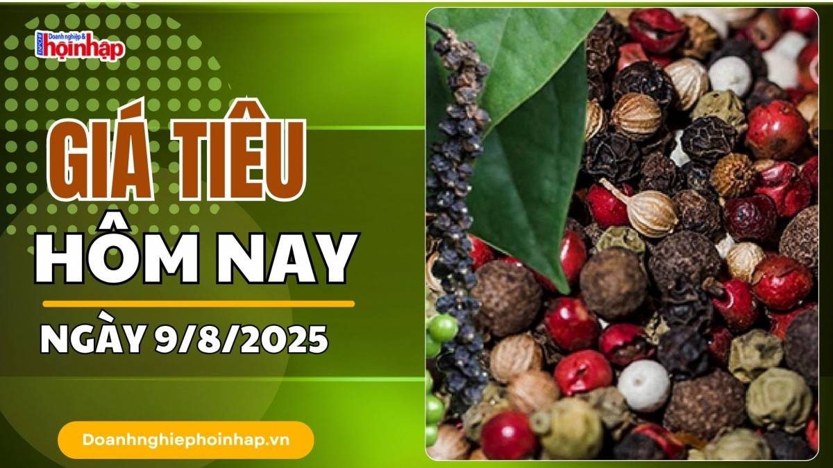 Giá tiêu hôm nay 9/8: Tiêu trong nước cao nhất là 141.000 đồng/kg