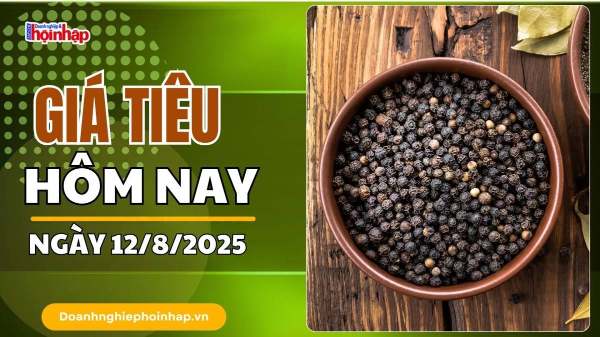 Giá tiêu hôm nay 12/8: Tiêu trong nước tăng mạnh nhất là 1.000 đồng/kg