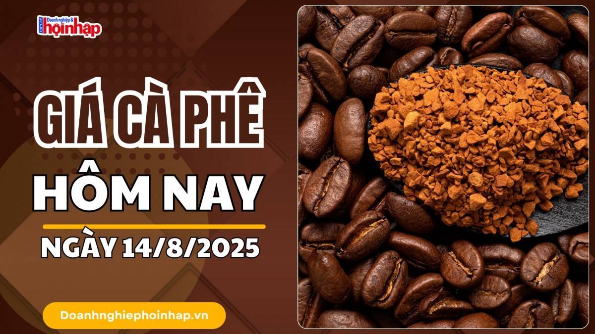 Giá cà phê hôm nay 14/8: Cà phê trong nước tăng mạnh nhất 800 đồng/kg