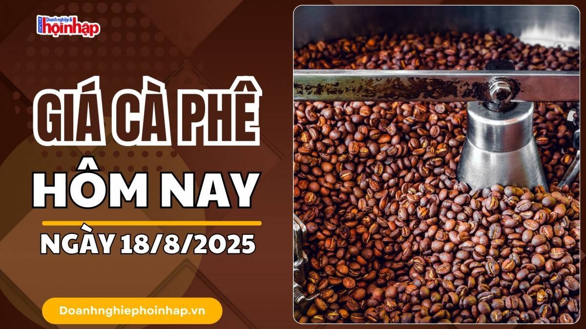 Giá cà phê hôm nay 18/8: Cà phê trong nước cao nhất là 117.500 đồng/kg