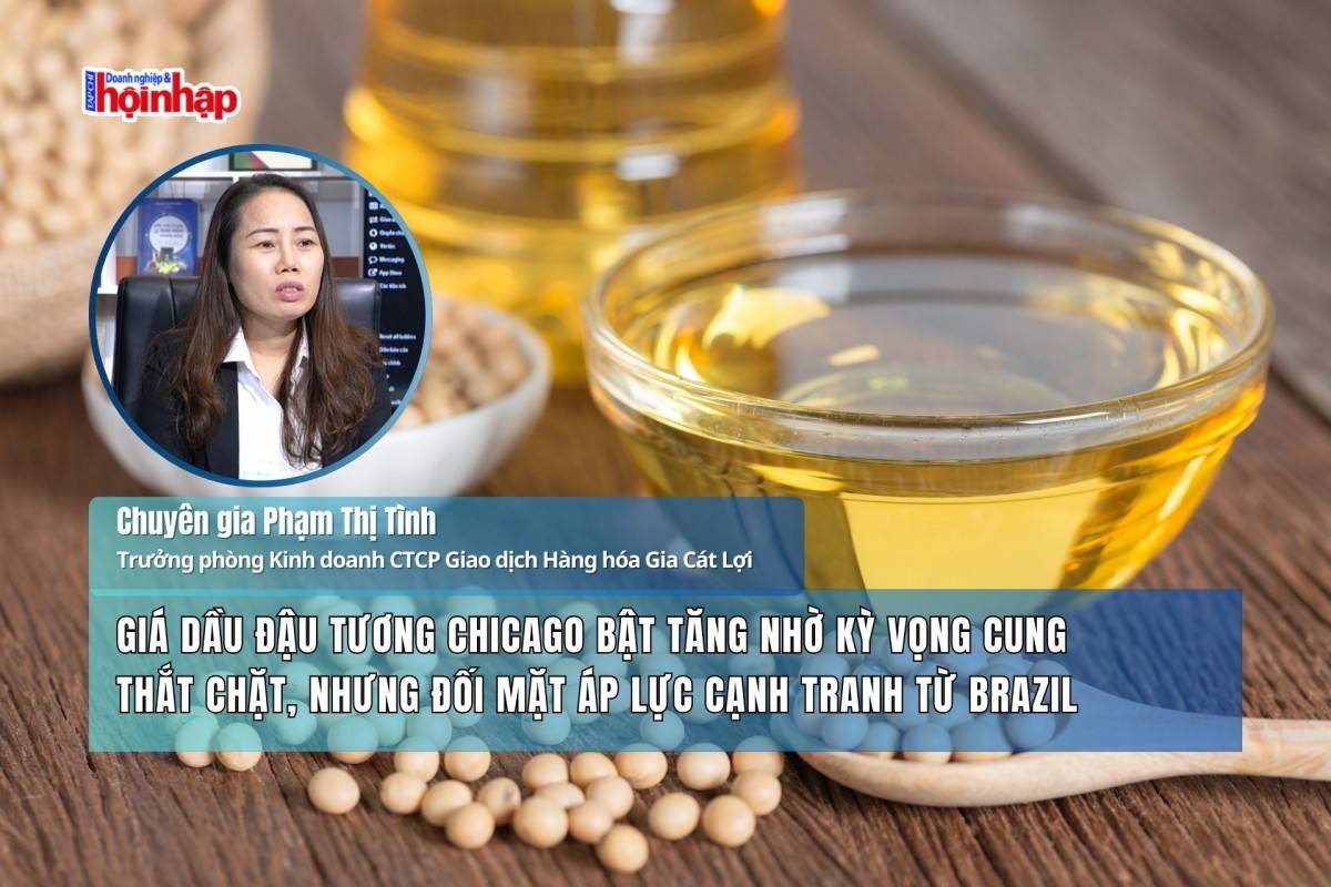 Giá dầu đậu tương Chicago bật tăng nhờ kỳ vọng cung thắt chặt, nhưng đối mặt áp lực cạnh tranh từ Brazil
